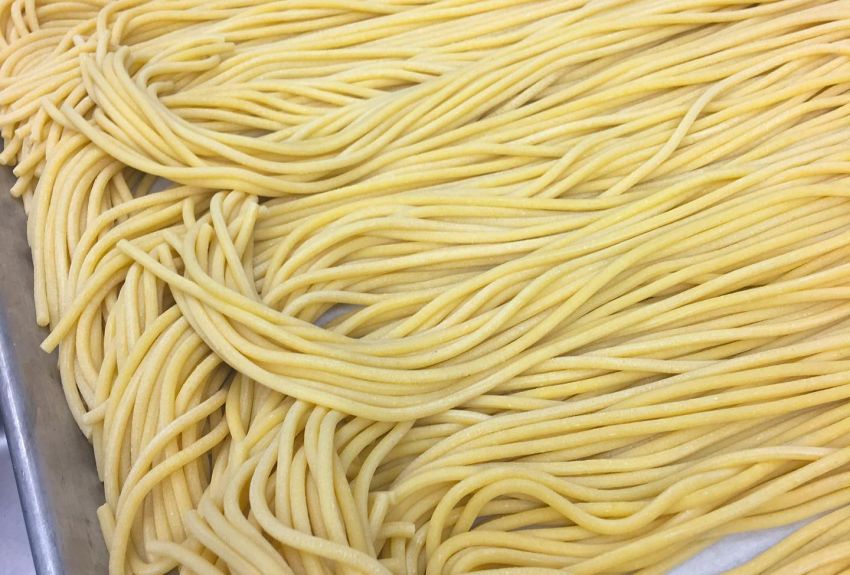 Student Discount at FatFace Colonial Williamsburg Merchants' Square