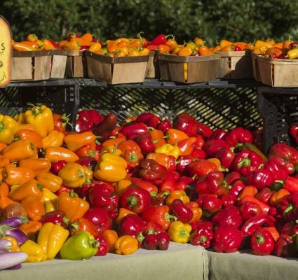 Williamsburg Farmers Market 1