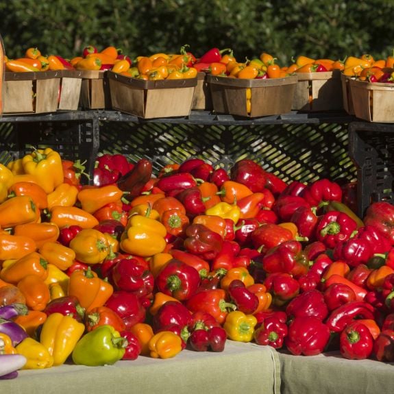 Williamsburg Farmers Market 1