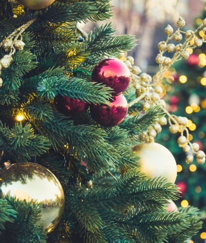 Merchants Square Tree Lighting 2