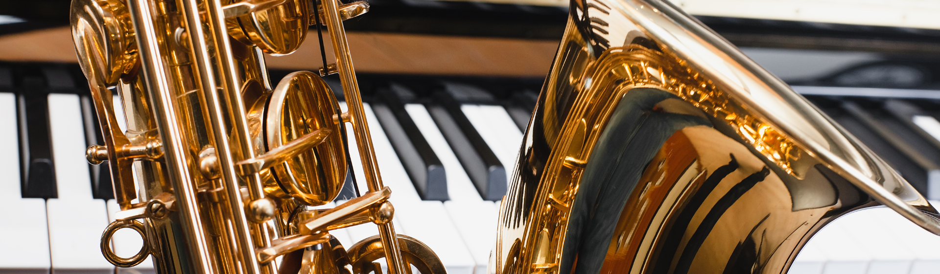 Winter Blues Jazz Fest 1