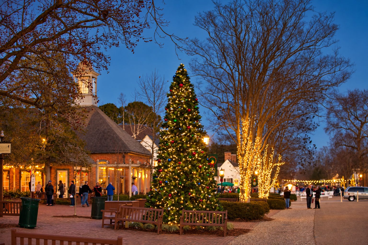 Christmas Tree
